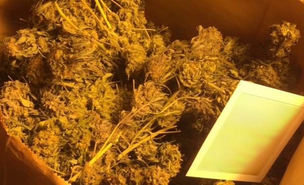 Полицейската операция по противодействие на престъпления с наркотични вещества е