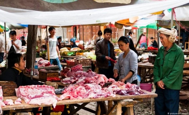 Шокиращи кадри от пазари в Азия заклани диви животни и