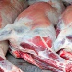 Симеон Караколев: Агнешко има, но не българско