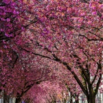 Отново е пролет...