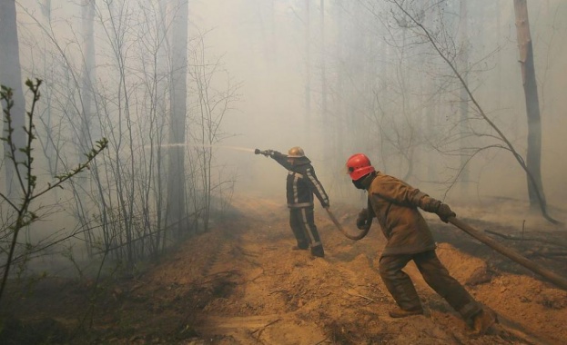 Пожарът в забранената горска зона около Чернобилската АЕЦ е потушен