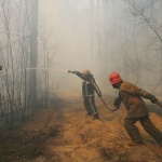 Пожарите около Чернобил са локализирани, спасители гасят отделни огнища 