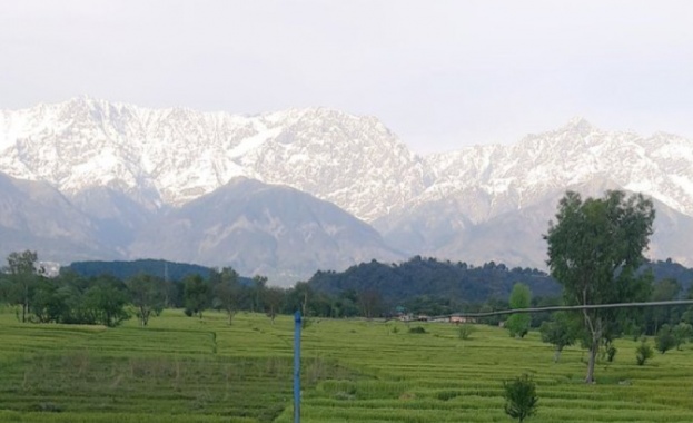 Коронавирусът влияе благотворно на околната среда навсякъде по света Режимът