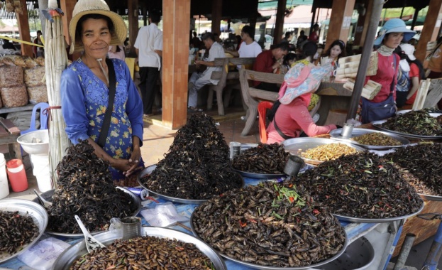 Мазнините на базата на насекоми са устойчива и здравословна алтернатива
