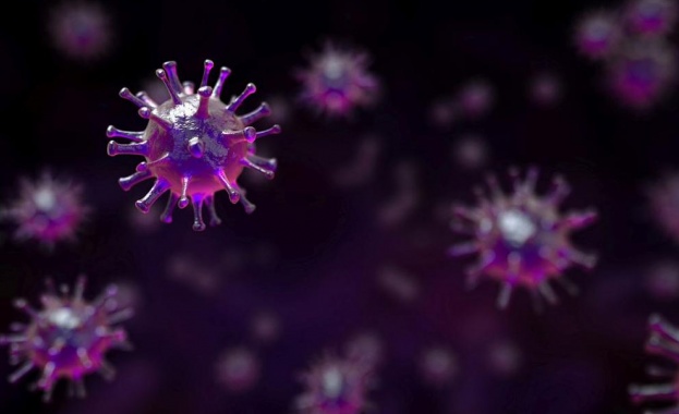 53 случая на коронавирус при 1275 PCR теста