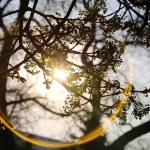 Слънчево време днес