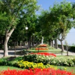 “Умът е градина, в която...