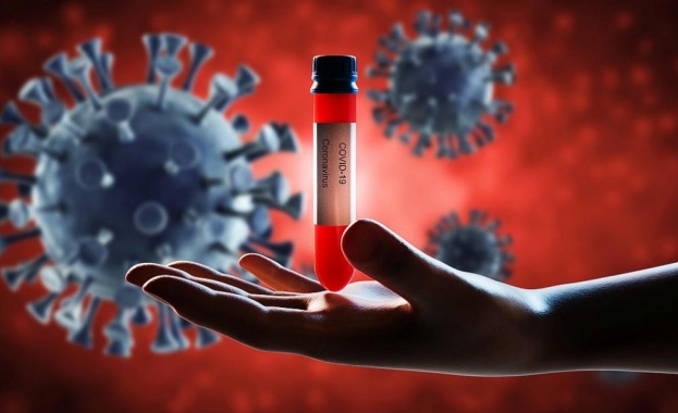 Пандемията, предизвикана от новия коронавирус, е отнела живота на най-малко
