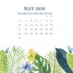 Предстоящи събития в страната на 3 май 