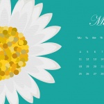 Предстоящи събития в страната за 26 май