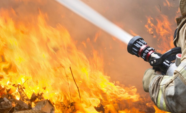 Нов голям пожар гори в Хасковско