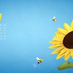 Предстоящи събития в страната за 5 май