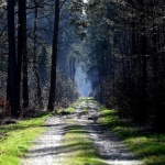 Добри са условията за туризъм в планините