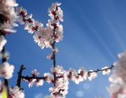 Слънчево време утре