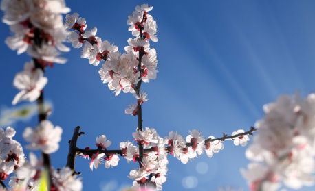 Слънчево време утре
