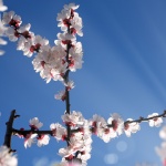 Предстоящи събития в страната на 5 април 2022 г.