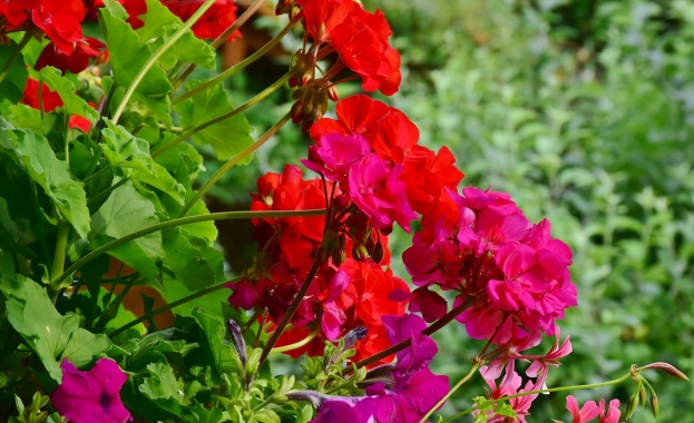 В условията на пандемия всички търсим допълнителни начини да защитим