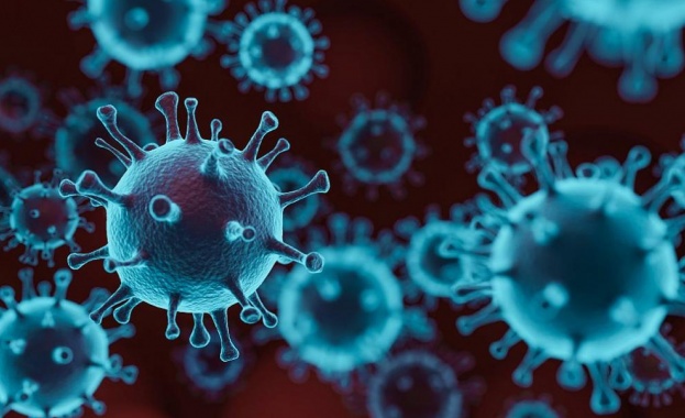 Група учени от Китай и Австралия откриха у прилепи коронавируса