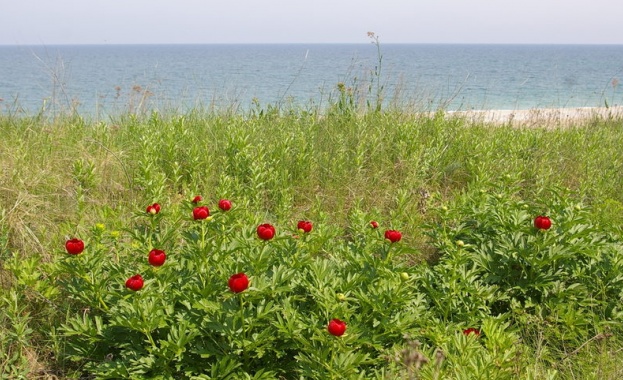 През последния месец екоинспекцията на Варна отново провери сигнали за
