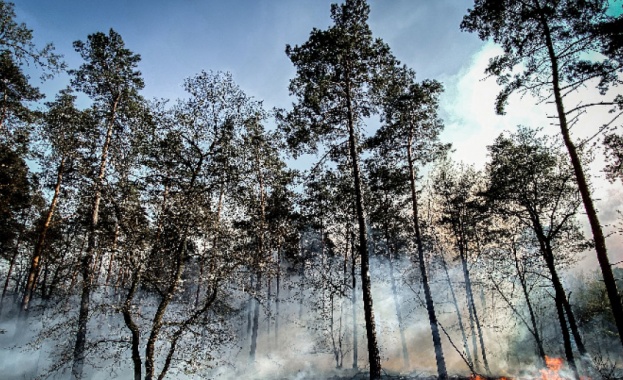  Продължава гасенето на големия пожар край Свиленград 