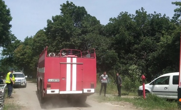 Пожар гори в парк Росенец край Бургас. По първоначална информация
