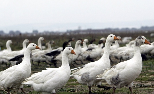 Джо Байдън предполагаемият кандидат от Демократическата партия за президент на