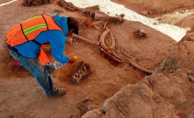 Археолози откриха останките на повече от 60 мамута край столицата