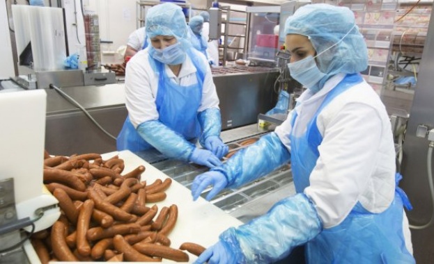 Хиляди източноевропейци мизерстват, за да има евтино месо в Германия