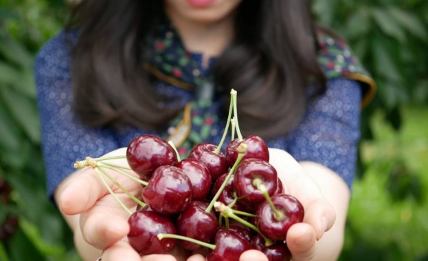 Инспекцията по труда в Кюстендил съобщи че до дни започва