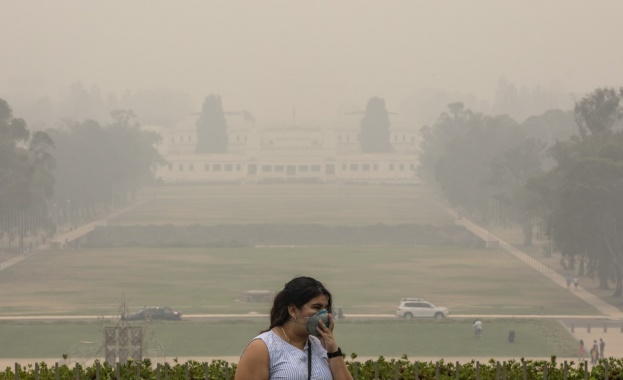 Лекари и медицински специалисти от цял свят призоваха световните лидери