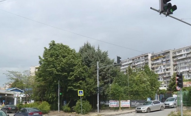 Задържаха шофьора който тази сутрин блъсна на пешеходна пътека във