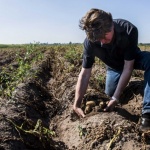 Как могат да се наемат чужденци за работа у нас