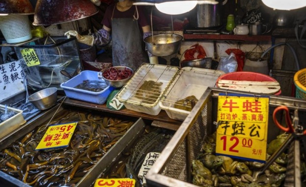 Първият случай на SARS CoV 2 вирусът който причинява COVID 19 не се