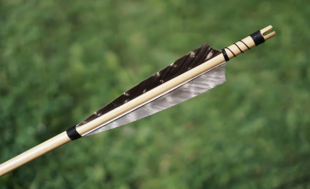 Италианската полиция нахълта в апартамента на сицилиански пенсионер който в