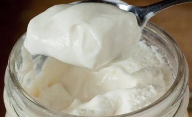Киселото мляко е най известната в света българска храна Получава се