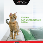 Търси се най-дълголетната котка в България