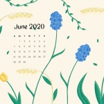 Предстоящи събития в страната за 26 юни