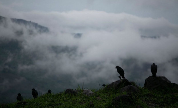 Най малко 33 ма души са загинали от миналата седмица в Централна