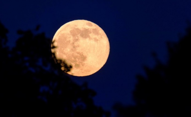 През 2027 г Русия иска да изпрати микроорганизми на Луната