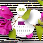 Предстоящи събития в страната за 11 юни