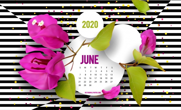 Предстоящи събития в страната за 11 юни