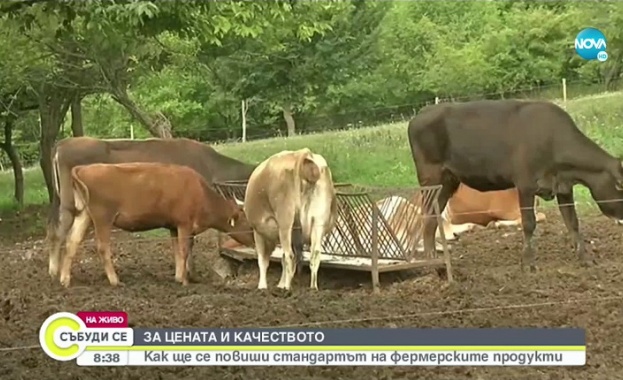 Имаме кампания за промяна на държавния български стандарт за качество