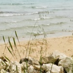 Учени смятат, че Червено море е океан 