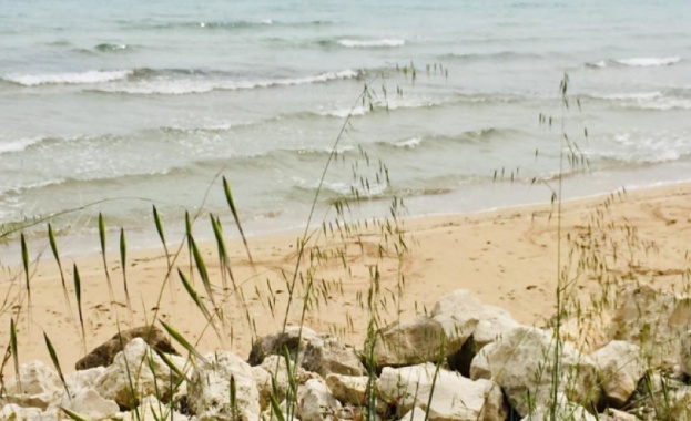 Почистването на поморийския плаж "Ивицата" продължава и днес