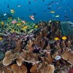 8 юни е Световен ден на океаните