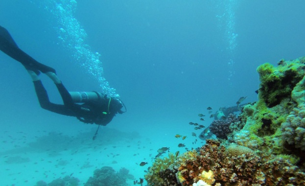 Египет отваря основните си морски курорти за международни полети и