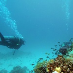 Египет отваря морски курорти за чужденци от 1 юли