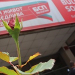 БСП подава сигнал до прокуратурата заради починалото от токов удар момче 