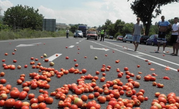 Организирани са два протеста в района на ГКПП Кулата днес Обявени