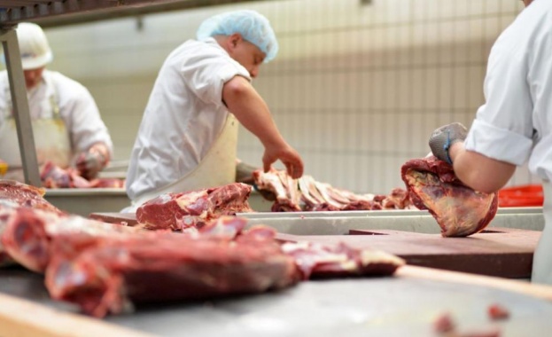 Най малко 657 работници в германска кланица са дали положителна проба